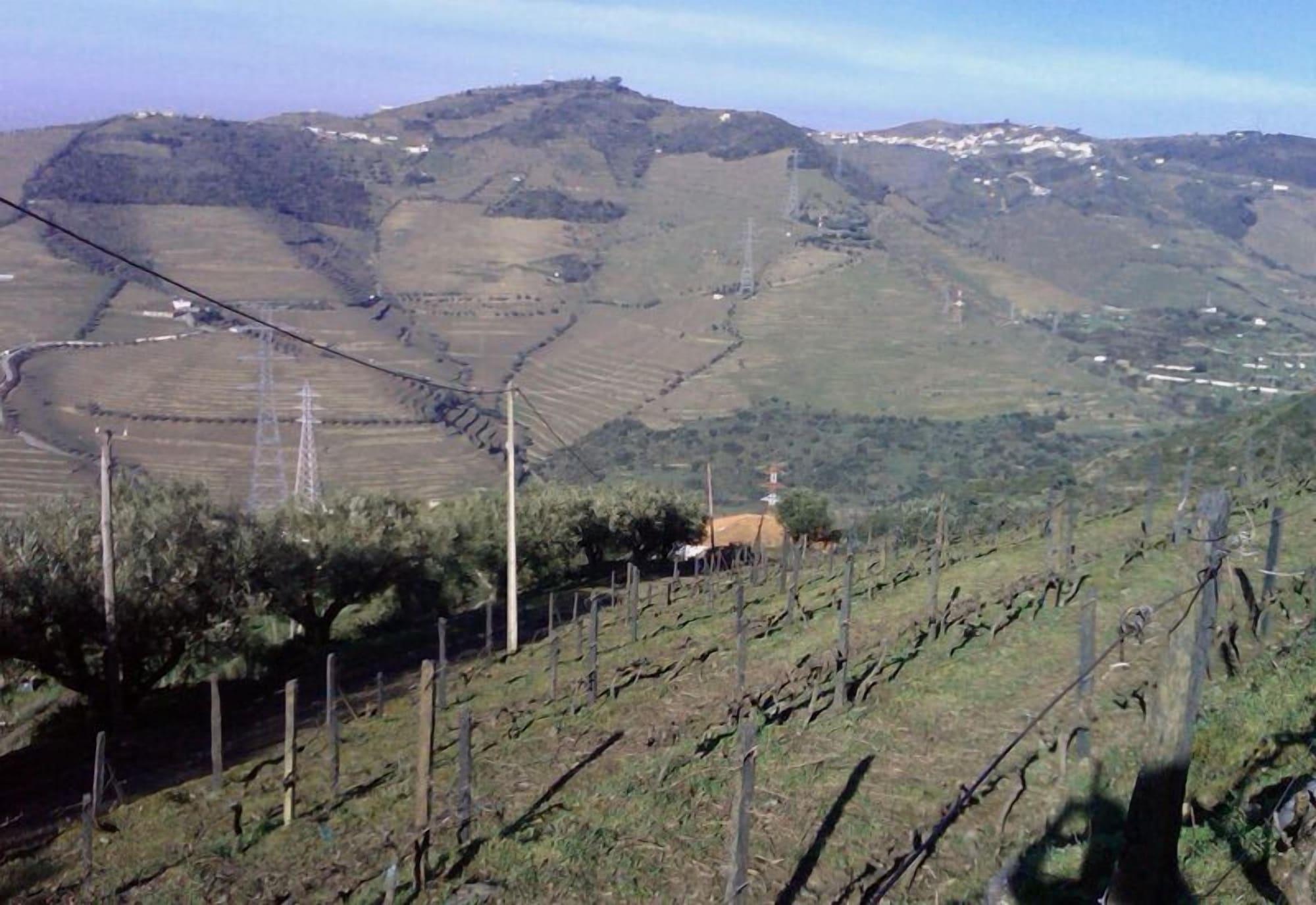 Quinta De Casaldronho Wine Hotel Lamego Exteriör bild