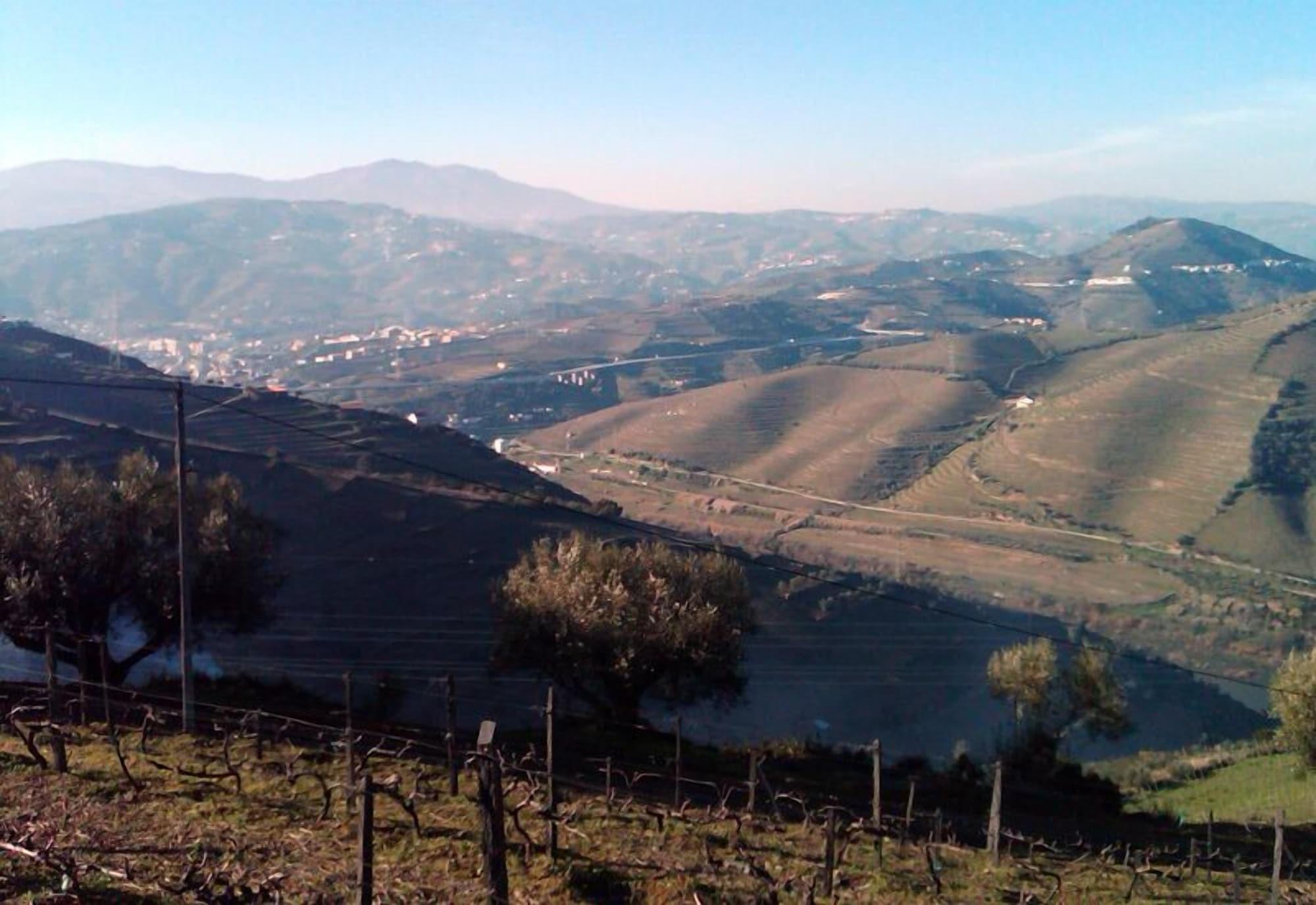 Quinta De Casaldronho Wine Hotel Lamego Exteriör bild