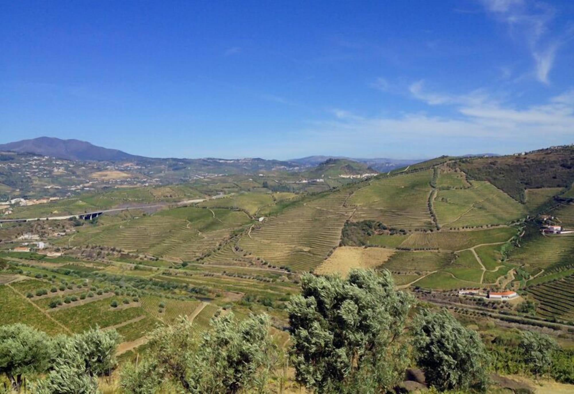 Quinta De Casaldronho Wine Hotel Lamego Exteriör bild