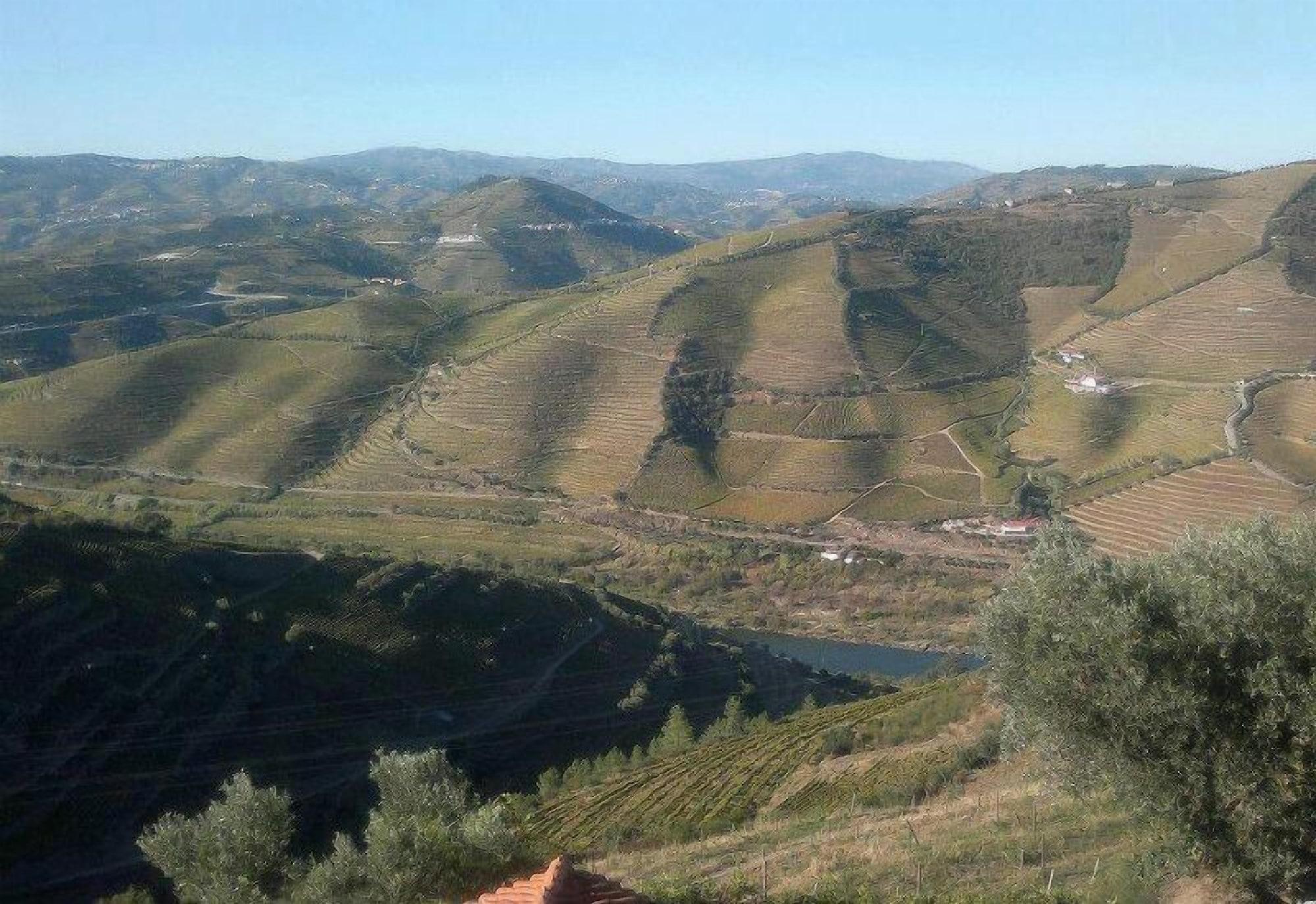 Quinta De Casaldronho Wine Hotel Lamego Exteriör bild